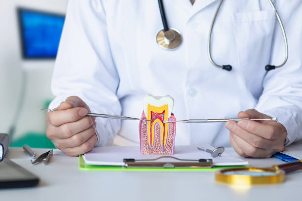 Best Root Canal Emergency Dentist  in Wilmington, OH